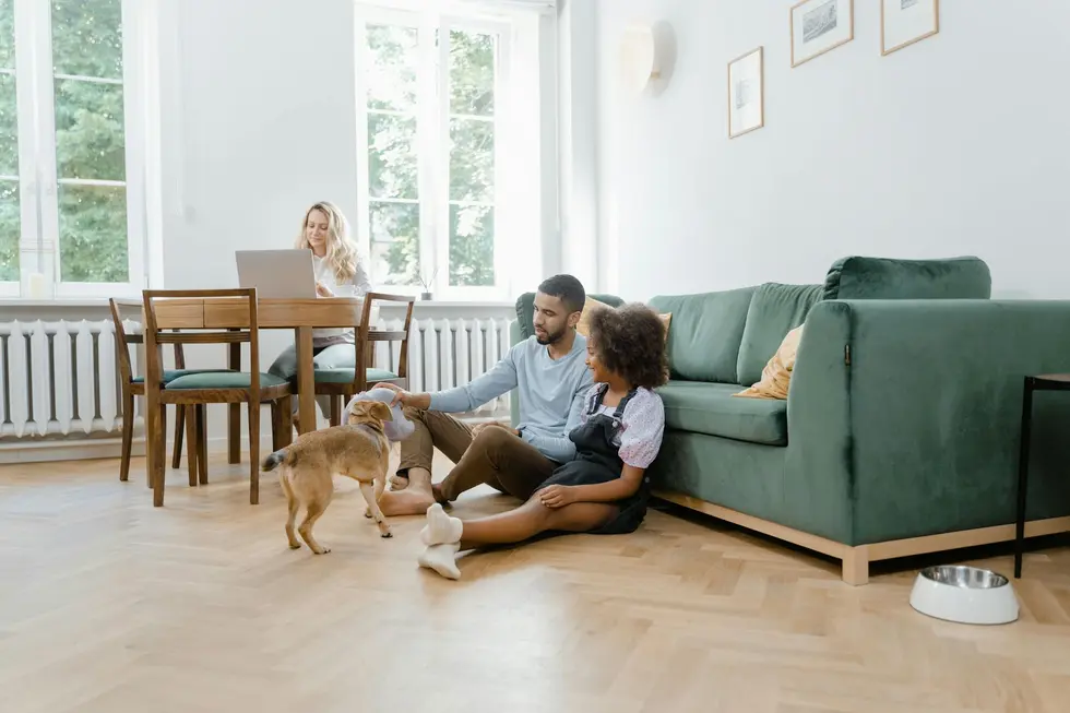 Pessoas analisando criptoativos no celular em ambiente doméstico com animais