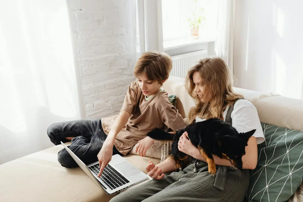 Família observa gráficos de preços em laptop, pets e sacolas ao redor