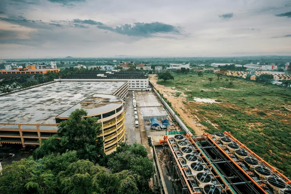 Da Floresta ao Mercado: Como a Klabin Gera Valor em Papel e Celulose
