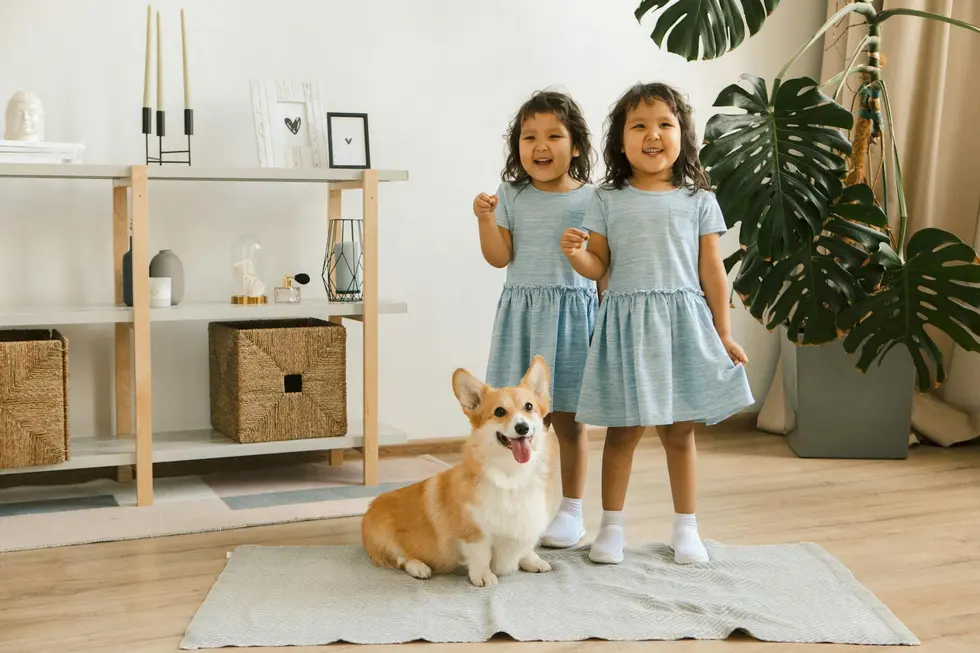 Pais, filhos e pets comemoram juntos com decoração Star Wars sustentável