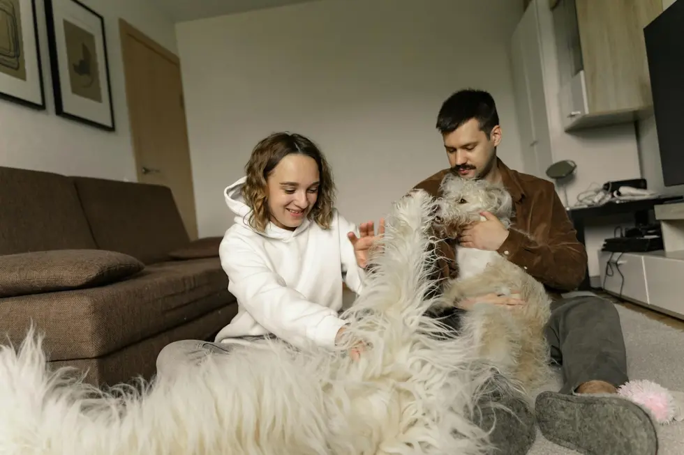 Família com pets organizando finanças em casa