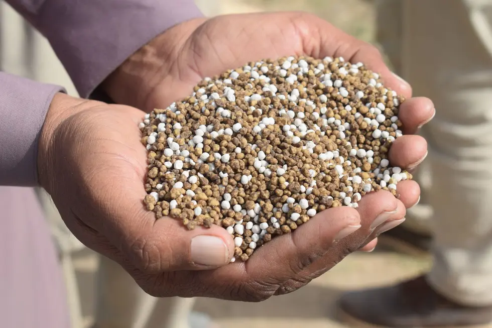Mão com fertilizante diante de lavoura verde em fazenda