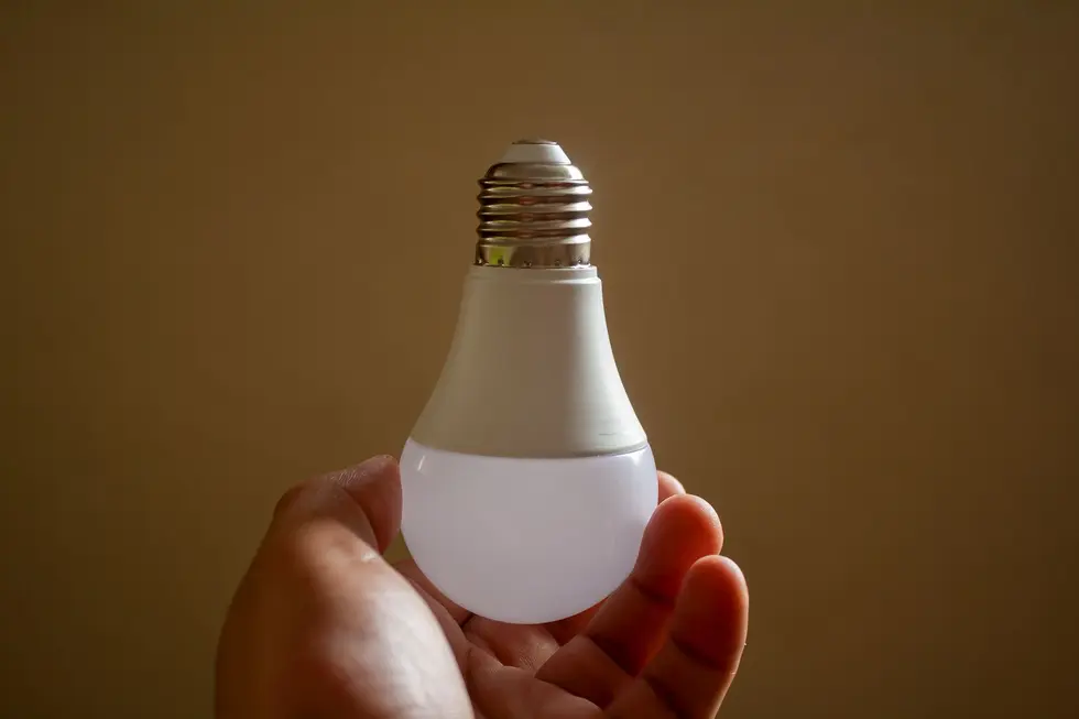 Mãos segurando lâmpada LED, reais e uma pequena planta